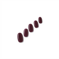 Persian Plum
