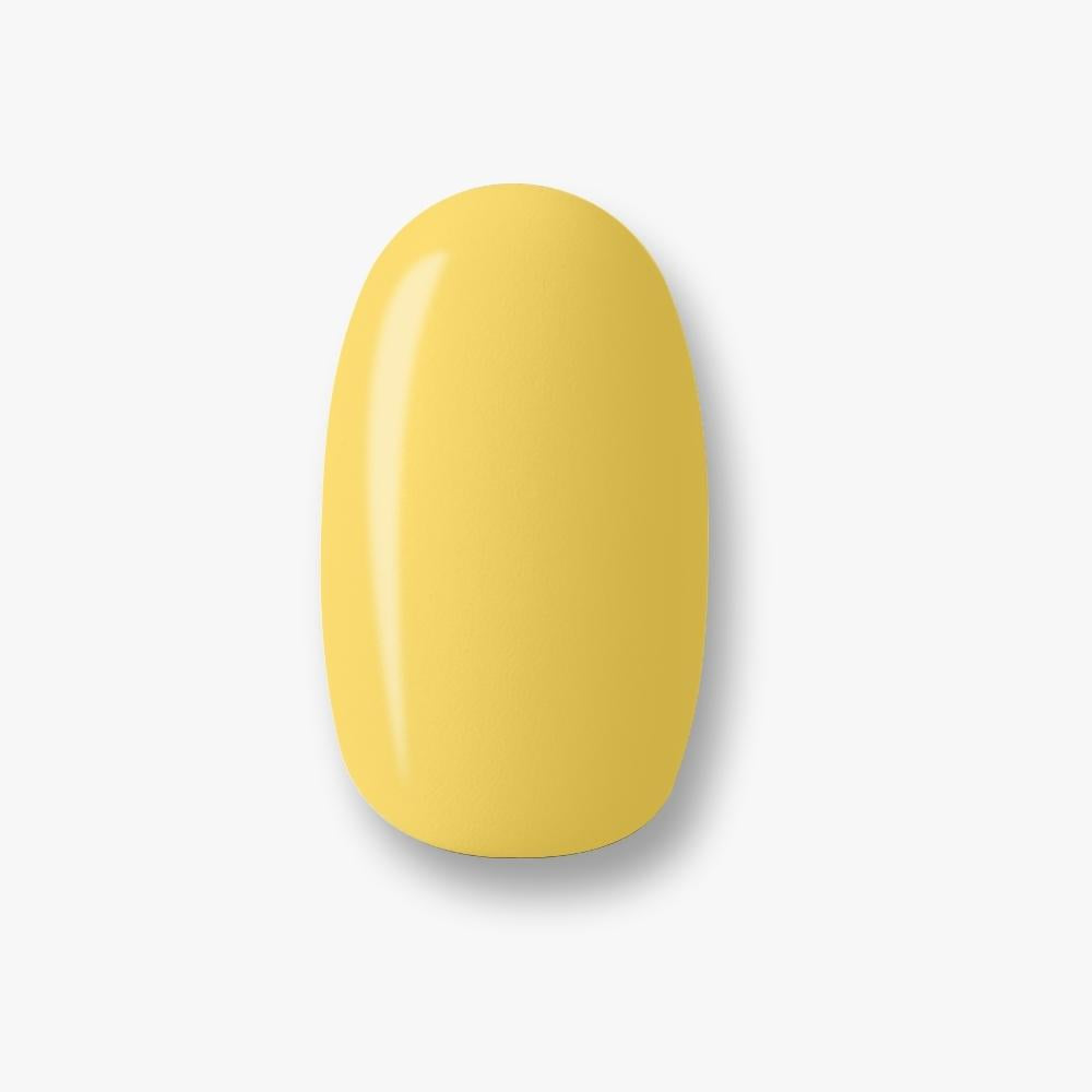 Summer Squeeze Cream Pops